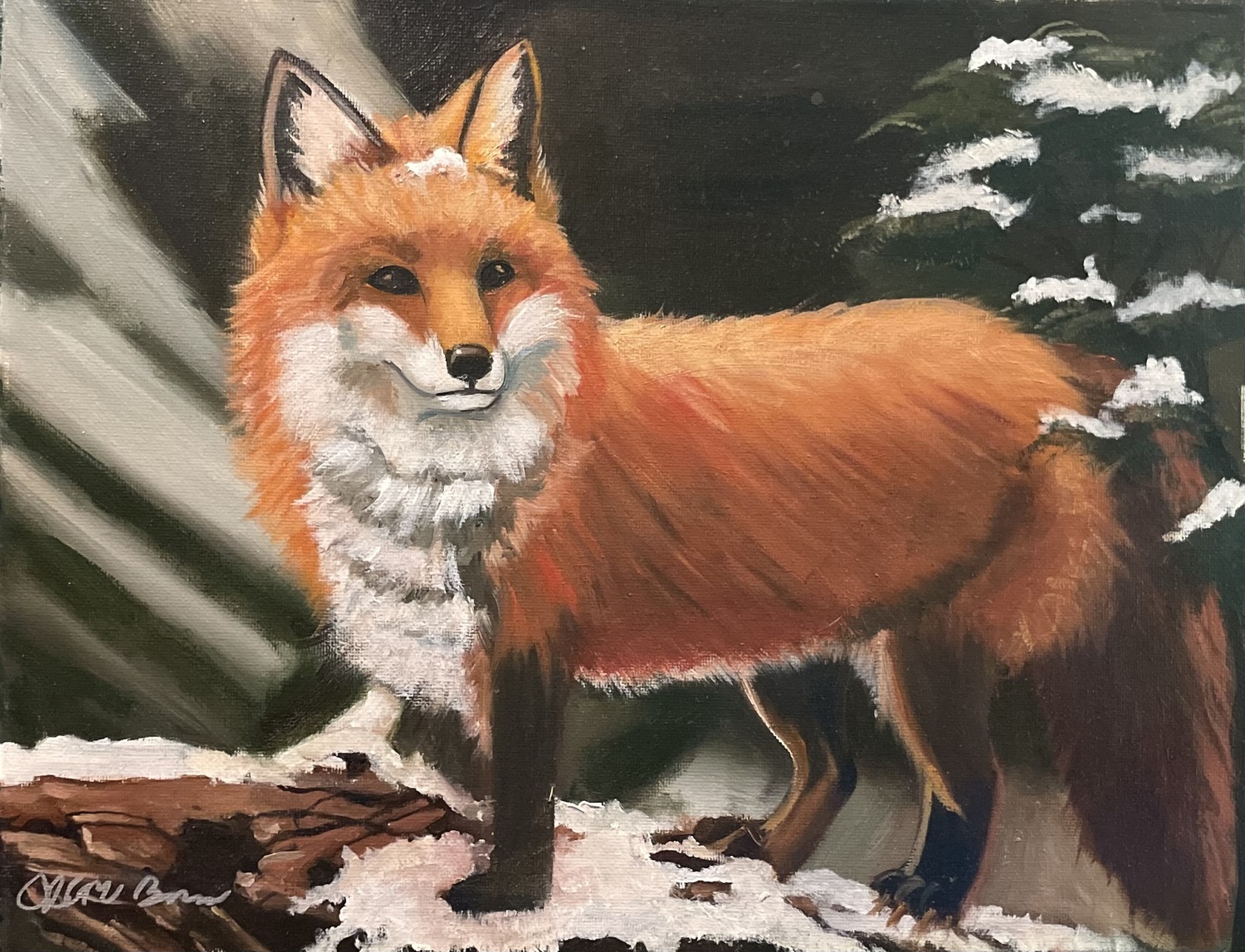 Red Fox