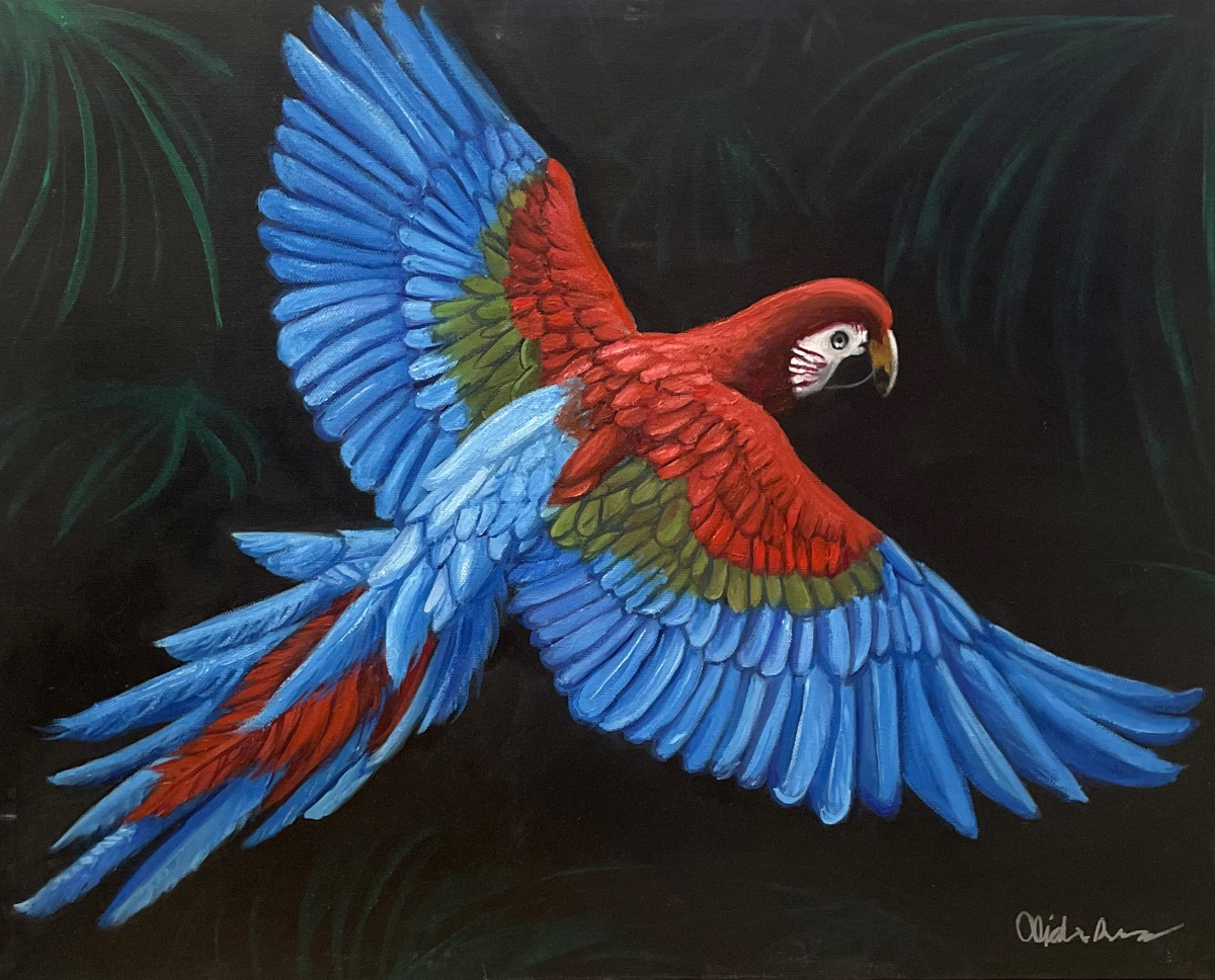 Red Parrot