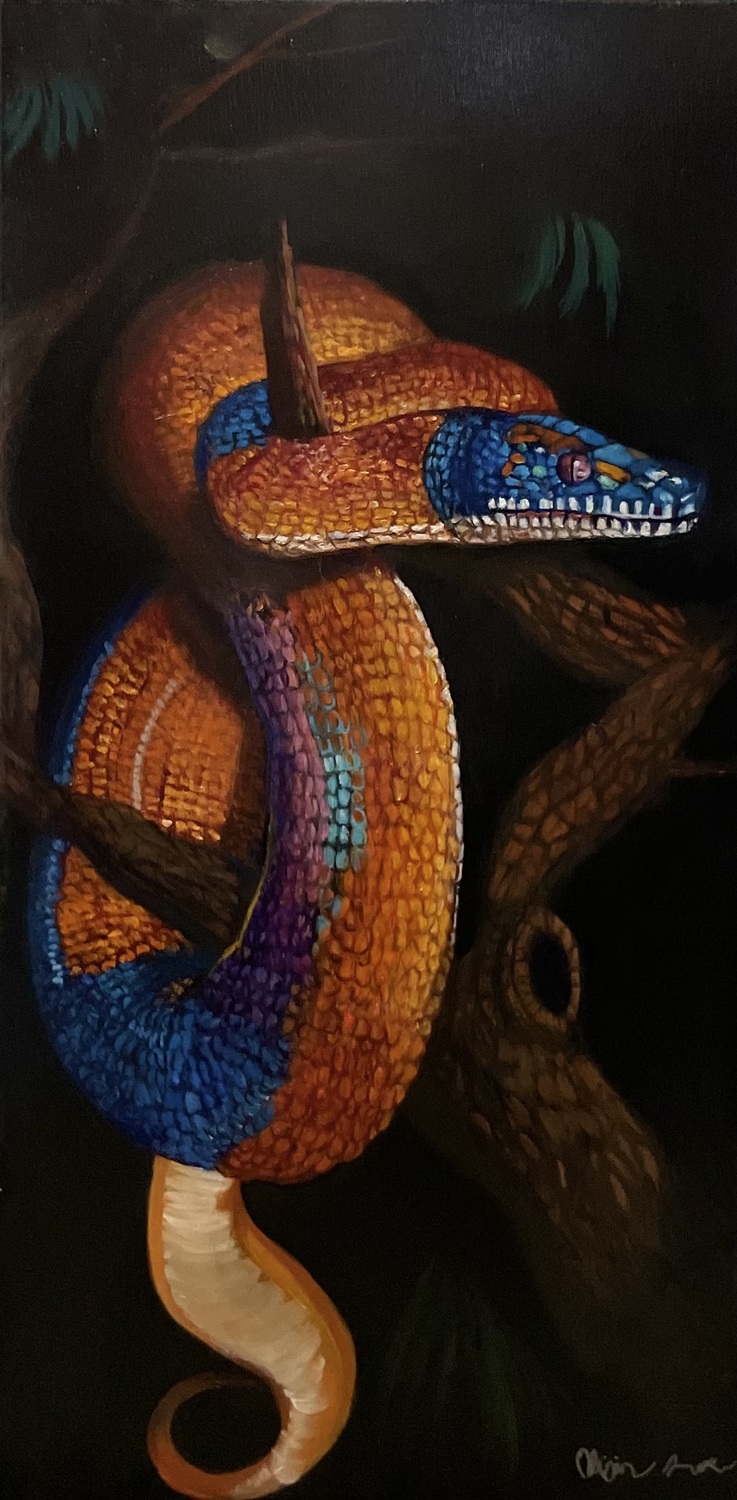 Rainbow Snake