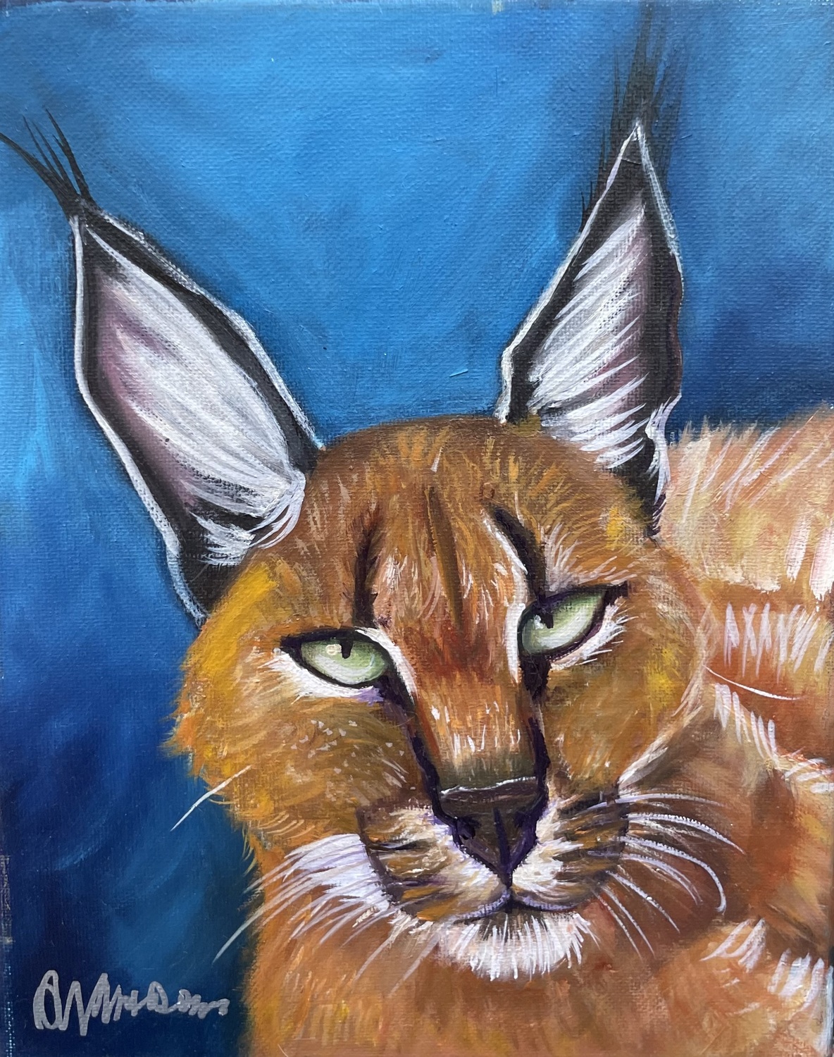 Caracal Cat