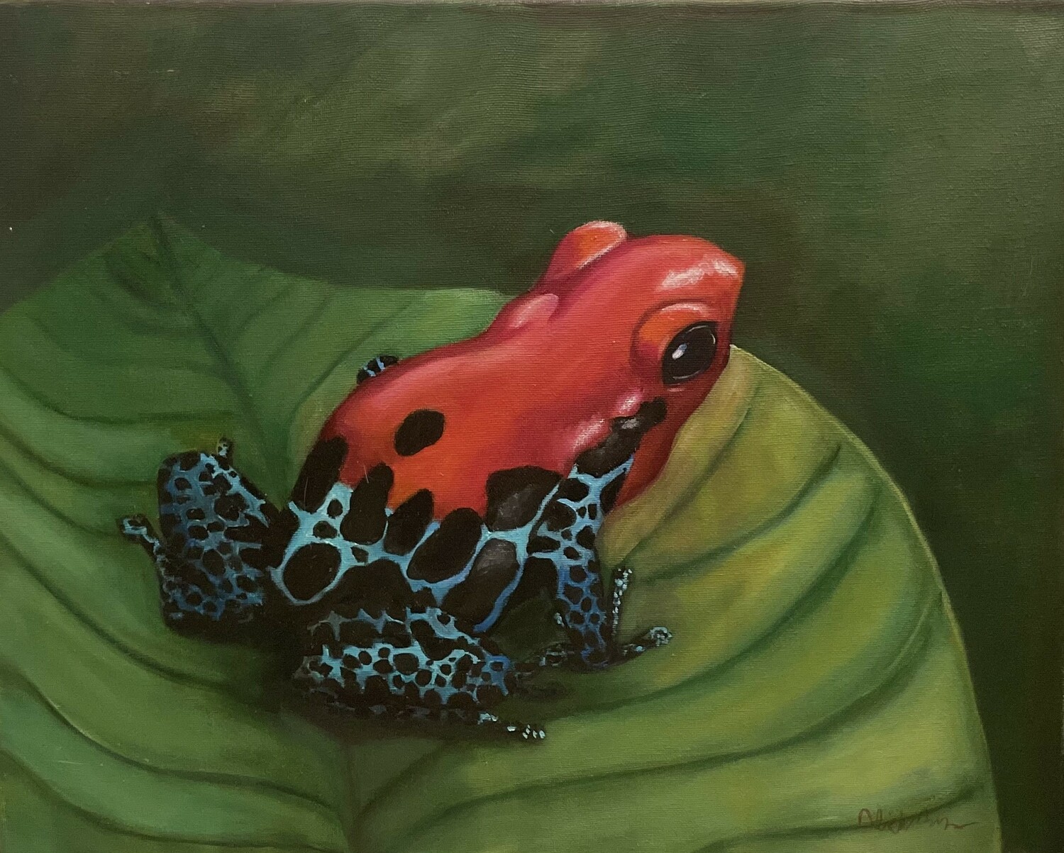 Dart Frog