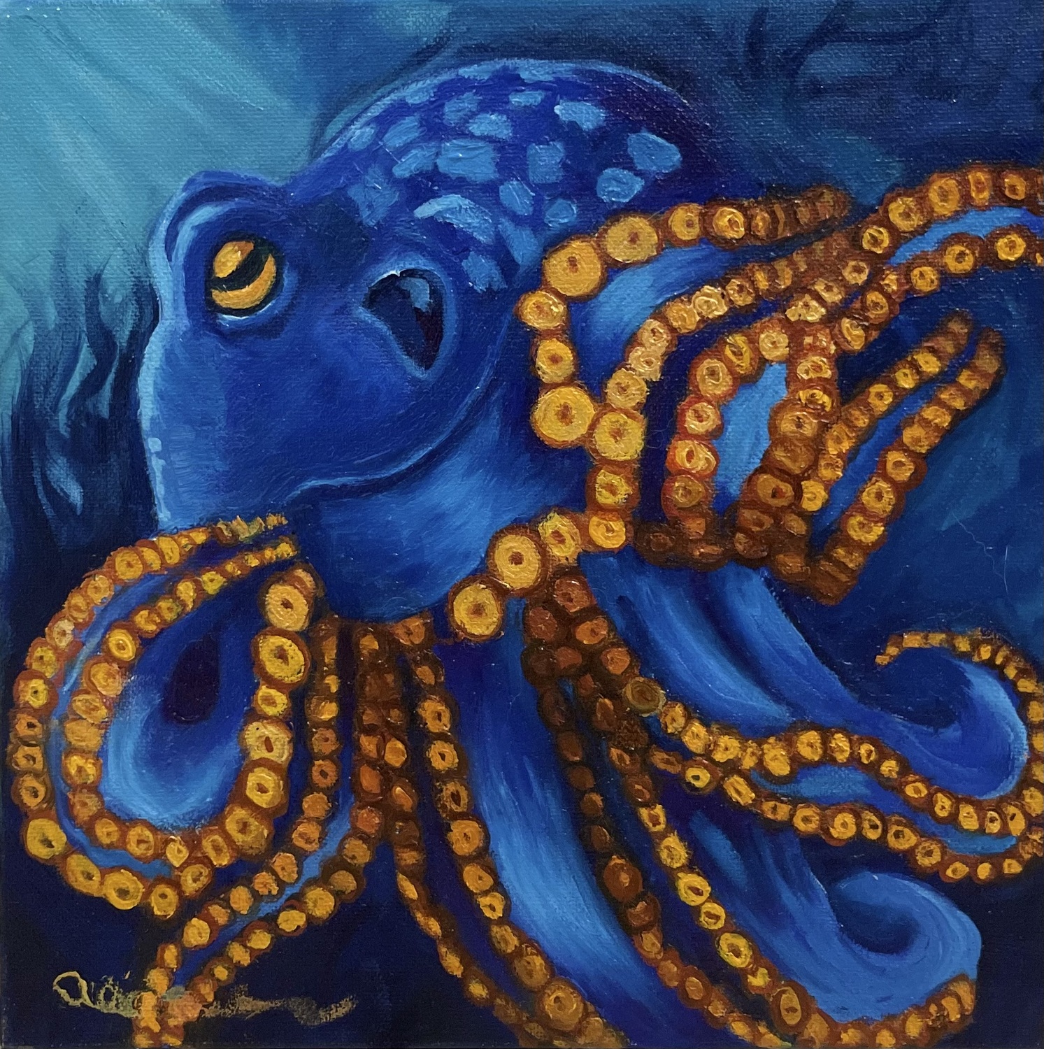 Blue and Gold Octopus